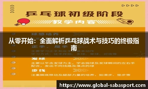 从零开始：全面解析乒乓球战术与技巧的终极指南
